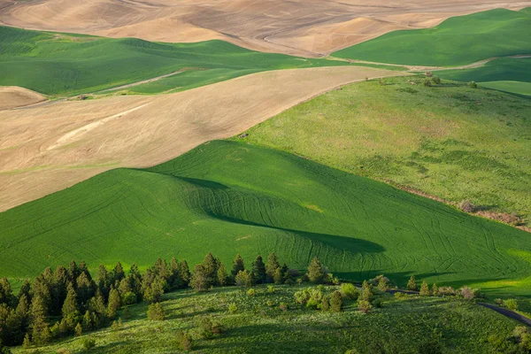 Vista aérea das terras agrícolas na região de Palouse, no estado de Washington Oriental — Fotografia de Stock