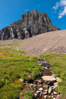 Saklı Geçit Yolu boyunca yabani çiçekler ve dağ çayırları
