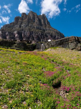 Saklı Geçit Yolu boyunca yabani çiçekler ve dağ çayırları