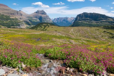 Saklı Geçit Yolu boyunca yabani çiçekler ve dağ çayırları
