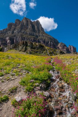 Saklı Geçit Yolu boyunca yabani çiçekler ve dağ çayırları