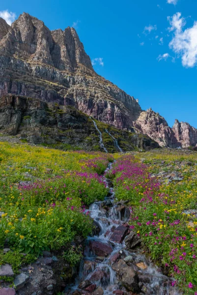 Flores silvestres y prados de montaña a lo largo del Sendero Hidden Pass — Foto de Stock