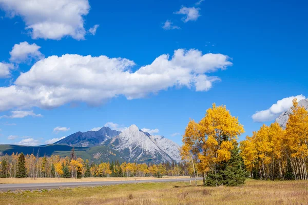 Una carretera a través de las montañas rocosas canadienses en Kananaskis, Alberta durante el pico de los colores de otoño —  Fotos de Stock