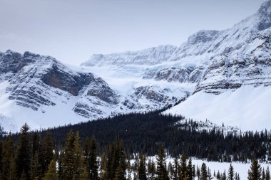 Banff Ulusal Parkı 'ndaki Icefields Parkway boyunca kışın kalabalık ayak buzulu