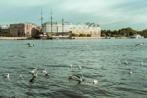 Saint Petersburg Rusko Panoramata Výhledy Město Ostrova Strelka Vasiljevského — Stock fotografie