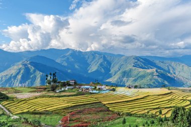 Bhutan Doğu dağlar grupta