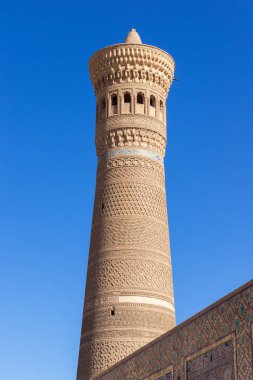 Kalyan minaresi - Buhara, Özbekistan