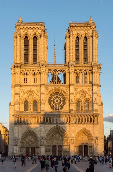 Notre dame de paris zur goldenen Stunde - Paris, Frankreich — Stockfoto