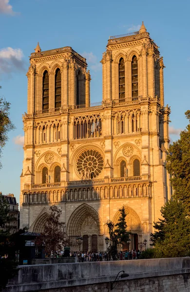 Notre dame de paris zur goldenen Stunde - Paris, Frankreich — Stockfoto