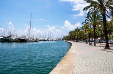 Paseo maritimo - Palma de Mallorca, Balear Adaları, İspanya