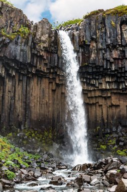 Svartifoss şelale Skaftafell - İzlanda