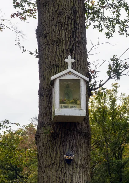 Etoile Sainte Anne in Saint Germain Forest, France — Stockfoto