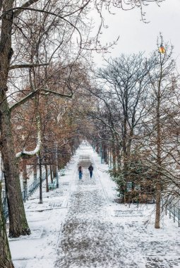 Ile aux Cygnes Paris üzerinden kar yağışı