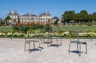 Lüksemburg Bahçeleri - Paris sandalyeler