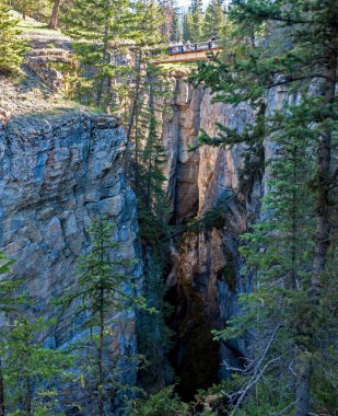 Maligne Kanyonu - Alberta, Kanada