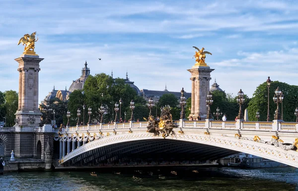 Пон Alexandre Iii on Seine River - Paris France — стокове фото