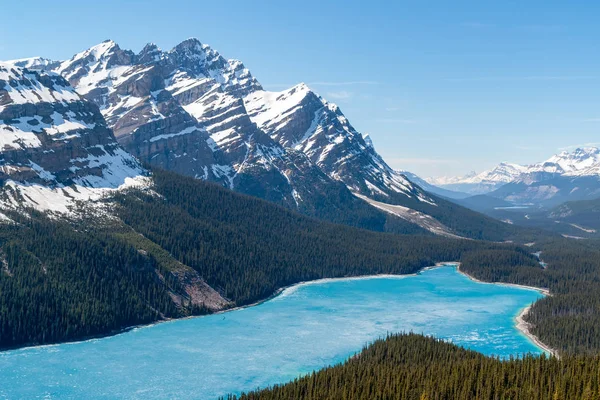 Lago Peyto - Parque Nacional Banff, Canadá — Foto de Stock