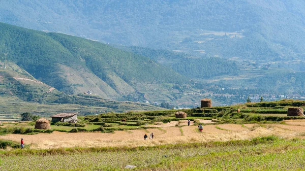 Paisaje agrícola butanés —  Fotos de Stock
