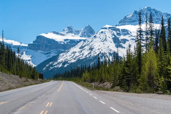 Rockies canadienses - Icefields Parkway Highway 93 — Foto de Stock