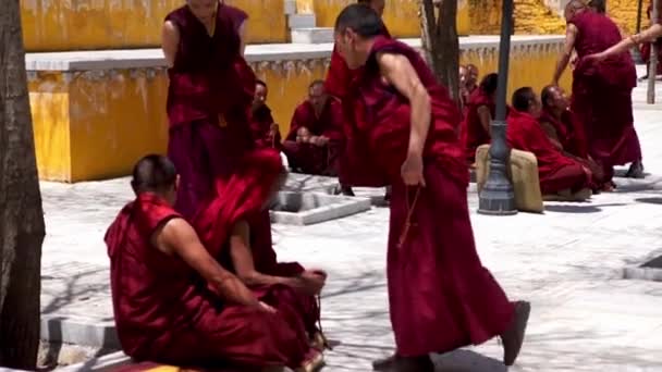 Lhasa Tibet Monjes Tibetanos Monasterio Será Debatiendo Patio — Vídeo de stock