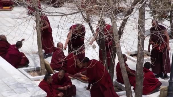 Lhasa Tibet Monjes Tibetanos Monasterio Será Debatiendo Patio — Vídeos de Stock