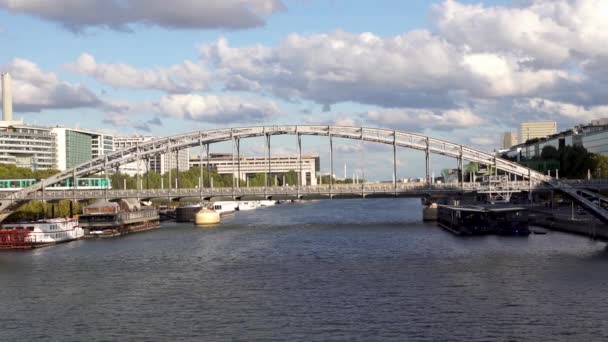 Metro traffic on the Austerlitz viaduct - Paris — Stock Video