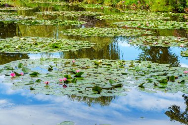 Monets Pond at Giverny with water lilies - France clipart