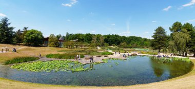 Paris, Fransa - 12 Temmuz 2020: Bois de Vincennes 'deki Parc Floral de Paris' te zambak ve nilüfer yapraklı su bahçesi