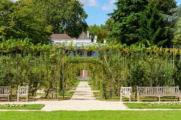 Rózsakert Francia Kert Gyönyörű Albert Kahn Parkban Múzeummal Háttérben Boulogne — Stock Fotó