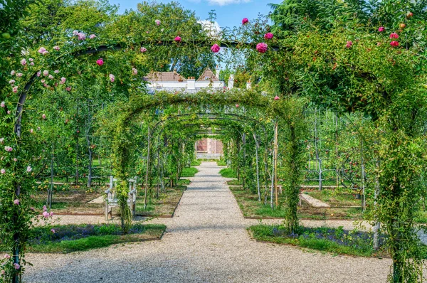 Jardim Rosas Belo Albert Kahn Park Com Museu Segundo Plano — Fotografia de Stock