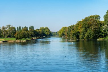 Chantilly, Fransa - 21 Eylül 2020: Domaine de Chantilly 'deki Büyük Kanal ve Çin-İngiliz Bahçesinin kuğular ve çeşitli kuşlarla manzarası - Fransa