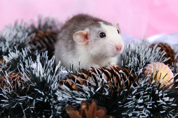 Söt grå råtta i New Year ' s Toys på Pink backgrond. 2020 Råttans år — Stockfoto