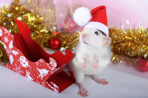 Милий сірий домашній щур у капелюсі в новорічному декорі. Символ 2020 року - це щур. Санта санчата Стокова Картинка