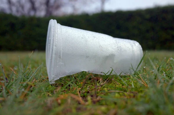 Прозрачная Пластиковая Чашка Скомканная Выброшенная Газоне — стоковое фото