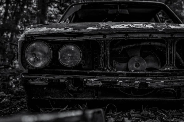 Régi Autóroncs Fekete Fehér Táj Elhagyott Rozsdás Autó Erdőben Közelkép — Stock Fotó