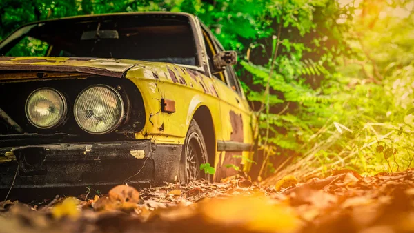 Antiguo Coche Destrozado Estilo Vintage Coche Amarillo Oxidado Abandonado Bosque — Foto de Stock