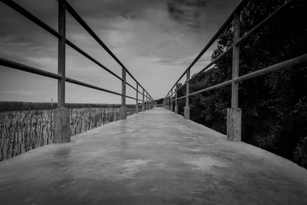 Metal çit ile beton köprü perspektif görünümünü mangrov orman karşı dramatik gri gökyüzü ve bulutlar üzerinde. Keder, umutsuz ve umutsuzluk kavramı. Yalnız ve üzgün duygusal. Siyah ve beyaz arka plan.