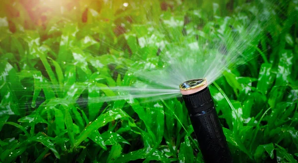 Automatic Lawn Sprinkler Watering Green Grass Sprinkler Automatic System Garden — Stock Photo, Image