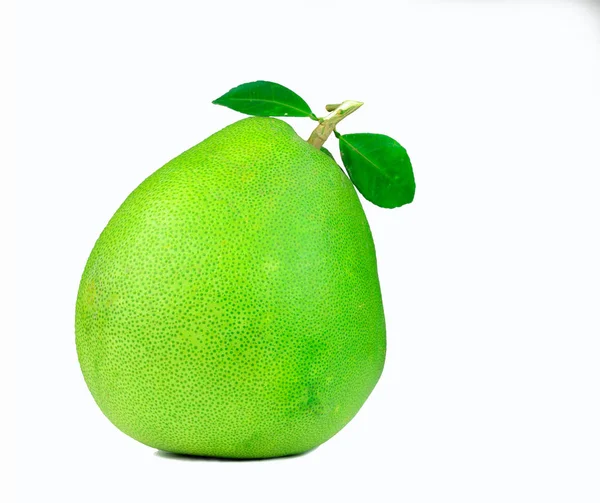 Pomelo Leaves Isolated White Background Tropical Fruit Natural Source Vitamin — Stock Photo, Image