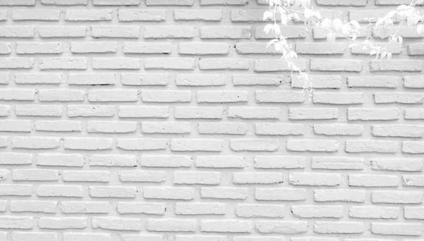 White and grey brick wall texture background with space for text. White bricks wallpaper. Home interior decoration. White leaves of ivy on brick wall. Architecture concept.