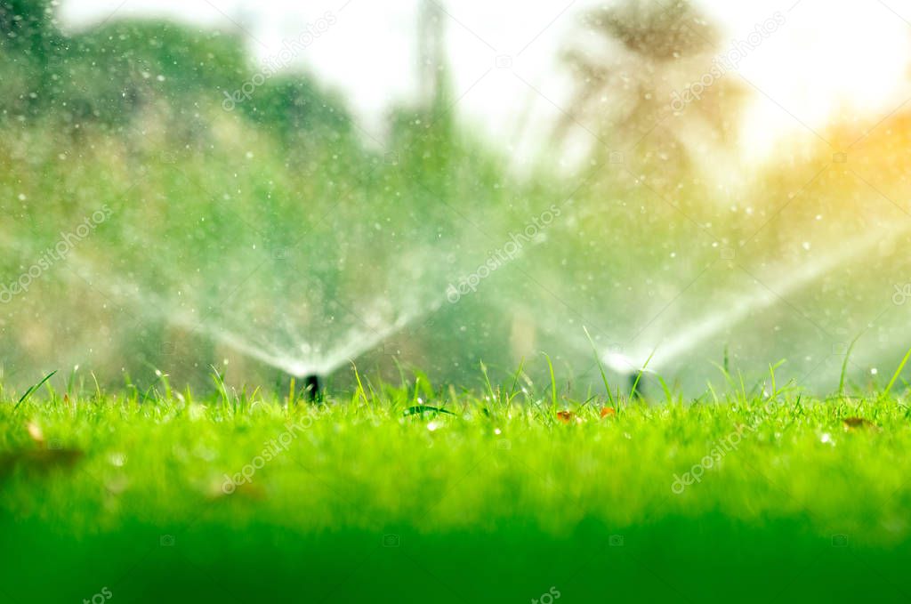 Automatic lawn sprinkler watering green grass. Sprinkler with automatic system. Garden irrigation system watering lawn. Water saving or water conservation from sprinkler system with adjustable head.