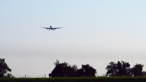 民間航空会社 旅客機の美しい夕焼け空と雲と空港に着陸します 到着便 飛行機のシルエットの木 金網の上を飛んでします 夕焼け空を飛んでいる鳥 — ストック動画
