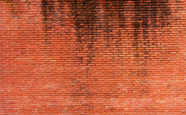 Fundo Textura Parede Tijolo Laranja Antecedentes Para Texto Conceito Arquitetura — Fotografia de Stock