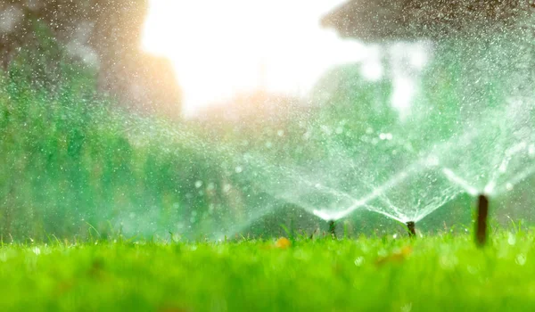 Automatic Lawn Sprinkler Watering Green Grass Sprinkler Automatic System Garden — Stock Photo, Image