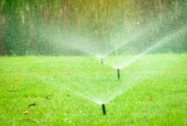 Automaattinen Nurmikon Sprinkleri Kastelu Vihreä Ruoho Sprinkleri Automaattisella Järjestelmällä Puutarhan — kuvapankkivalokuva