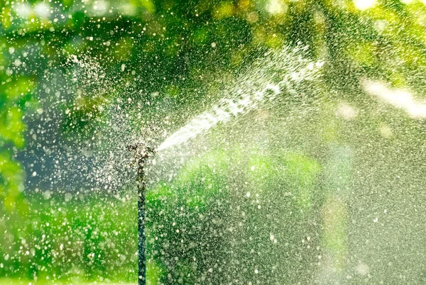 Automaattinen Nurmikon Sprinkleri Kastelu Vihreä Ruoho Sprinkleri Automaattisella Järjestelmällä Puutarhan — kuvapankkivalokuva