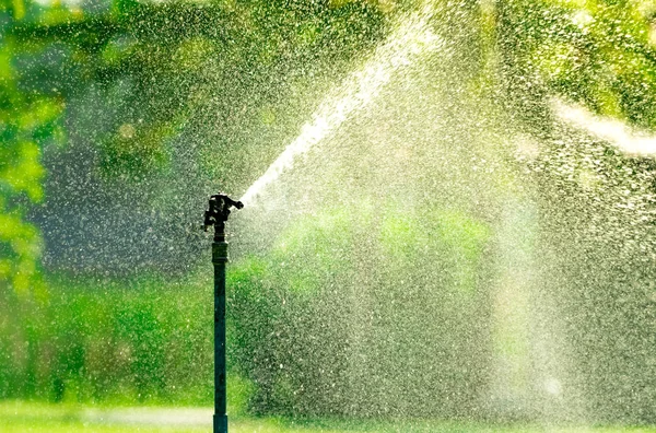 Automatischer Rasensprenger, der grünes Gras wässert. Sprinkler mit automatischem System. Gartenbewässerungssystem zur Rasenbewässerung. Wassersparen oder Wassersparen durch Sprinkleranlage mit verstellbarem Kopf. — Stockfoto