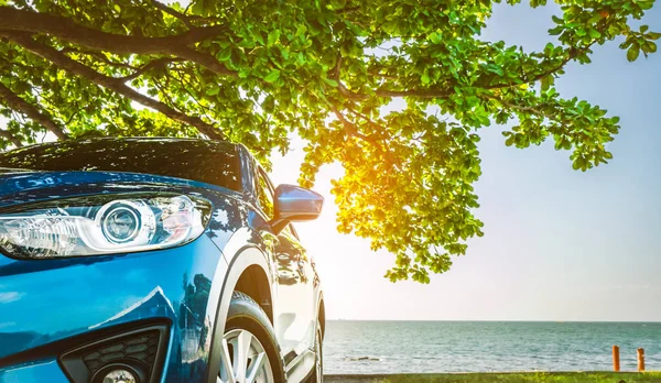 Mavi spor Suv araba tropikal deniz şemsiye ağacın altında park etmiş. Plajda yaz tatili. Yaz seyahat arabayla. Yola gidiyoruz. Otomotiv Sanayi. Hibrit ve elektrikli otomobil konsepti. Yaz vibes. 