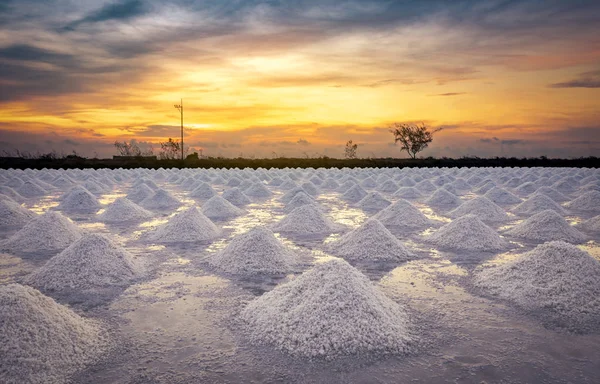 Granja de sal en la mañana con el cielo del amanecer. Sal marina orgánica. Evaporación y cristalización del agua de mar. Materia prima de sal industrial. Cloruro de sodio. Sistema de evaporación solar. Sal de yodo . — Foto de Stock