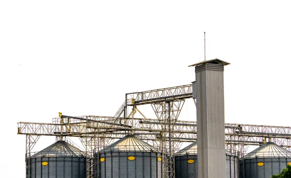 Silo agrícola en fábrica de molinos de piensos. Silo plano para almacenar y secar grano, trigo, maíz en la granja. Almacenamiento de productos agrícolas. Tanque grande para almacenar grano. Torre de grano. Industria agraria . — Foto de Stock